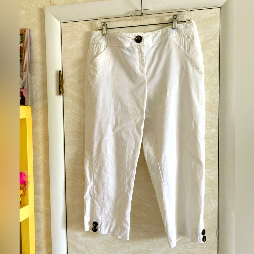 Style & Co pants